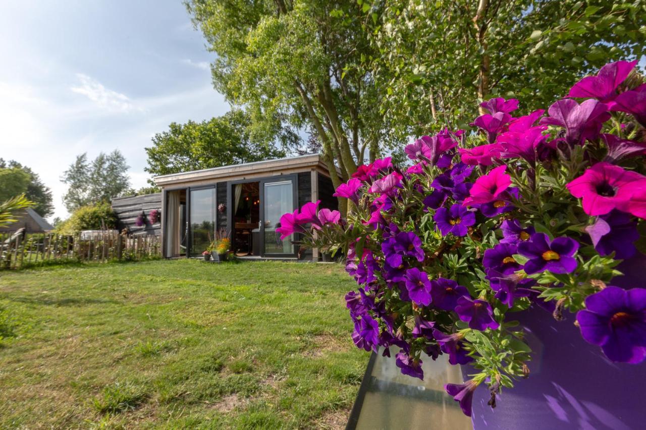 De Luxe Overkapping Middelburg Dış mekan fotoğraf